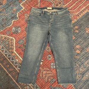 Free People Ankle-Length Blue Jeans